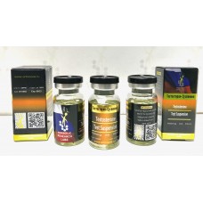 Testosterone Suspension Oil Based (TNE) 100mg/ml